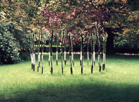 pollarded willow circle Dordrecht Municipal Museum