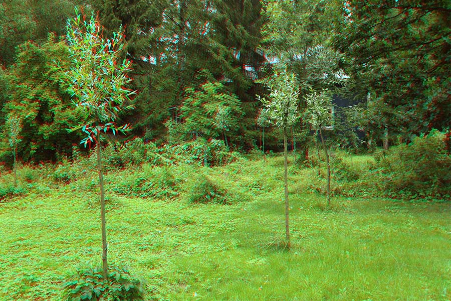 3D anaglyph picture of "ellipical construction" - a land art willow project.