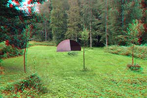3D anaglyph picture of "ellipical construction" - a land art willow project.