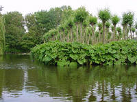 Barendrecht Holland and the sculptures of Lucien den Arend - his site specific sculpture ordered by the city of Barendrecht