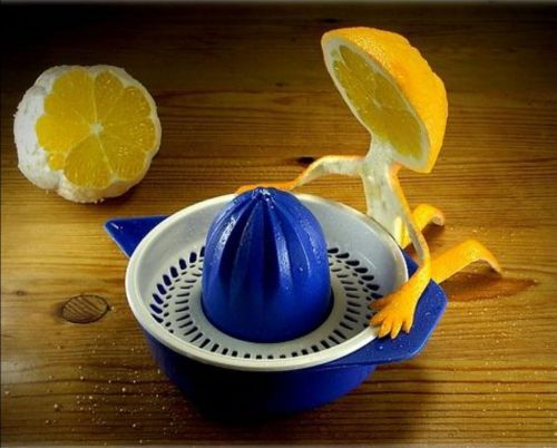http://smg.photobucket.com/albums/v421/Eclisse/?action=view&current=food020.jpg