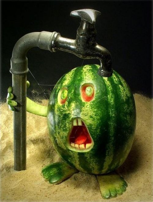 http://smg.photobucket.com/albums/v421/Eclisse/?action=view&current=food018.jpg