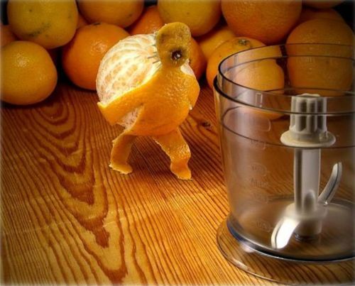 http://smg.photobucket.com/albums/v421/Eclisse/?action=view&current=food016.jpg