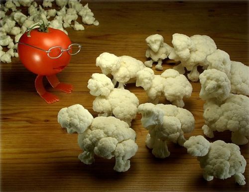 http://smg.photobucket.com/albums/v421/Eclisse/?action=view&current=food015.jpg