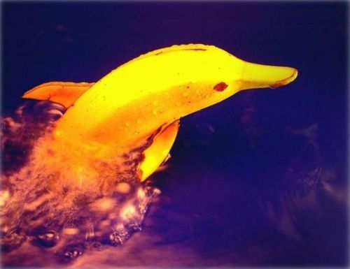http://smg.photobucket.com/albums/v421/Eclisse/?action=view&current=food014.jpg