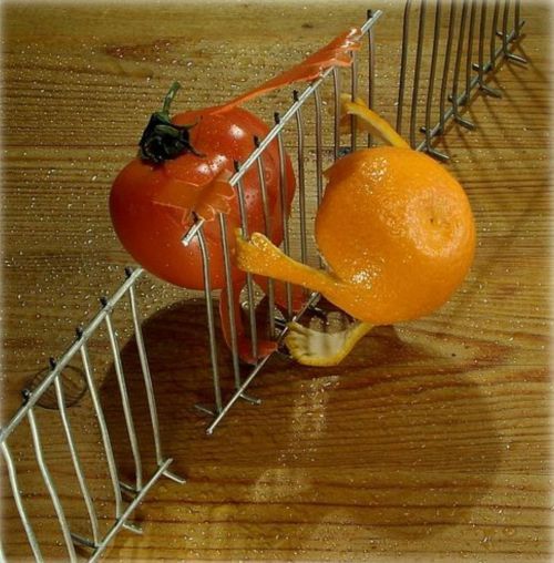 http://smg.photobucket.com/albums/v421/Eclisse/?action=view&current=food005.jpg
