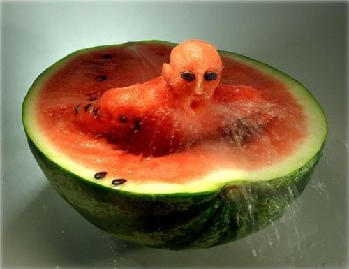 http://smg.photobucket.com/albums/v421/Eclisse/?action=view&current=food003.jpg