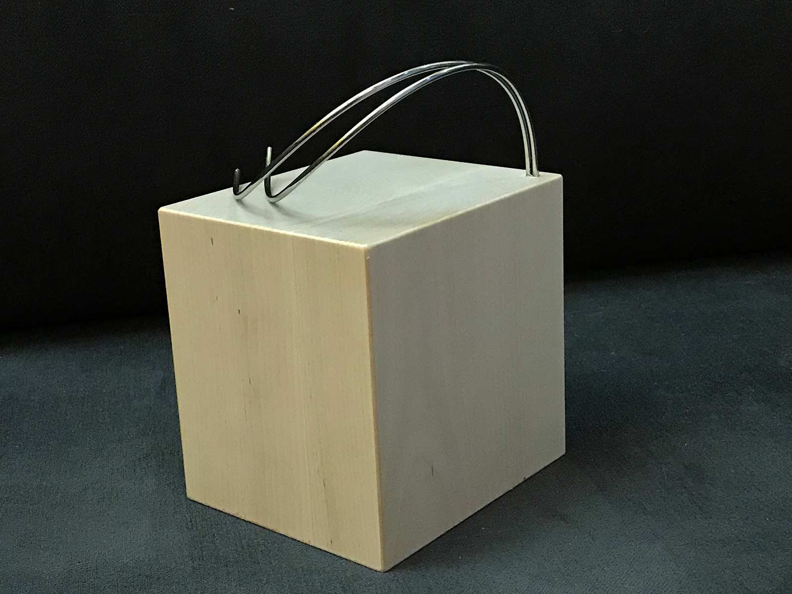 2020 - Professor Durrer monument model