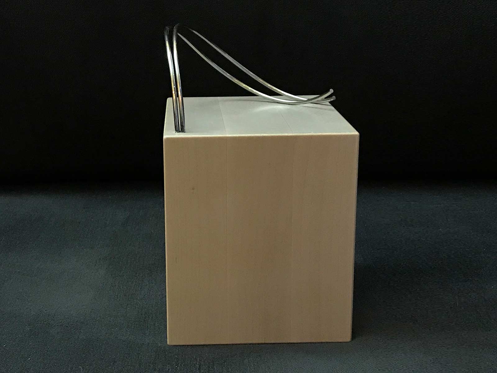 2020 - Professor Durrer monument model
