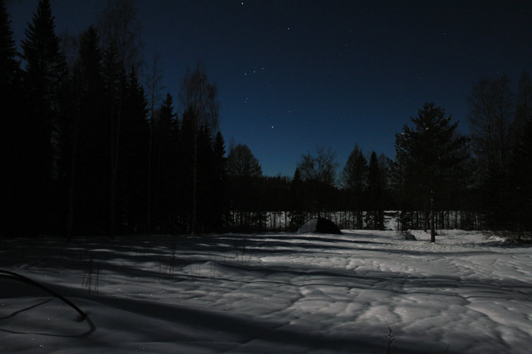 moonlight, and Orion above my sculpture park in Finland - POAM sculpture garden