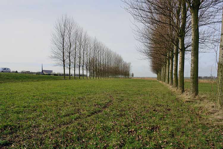 Land art in Sheerness and Dirksland, Holland and environments by Lucien den Arend - his site specific sculptures and environmental sculptures.