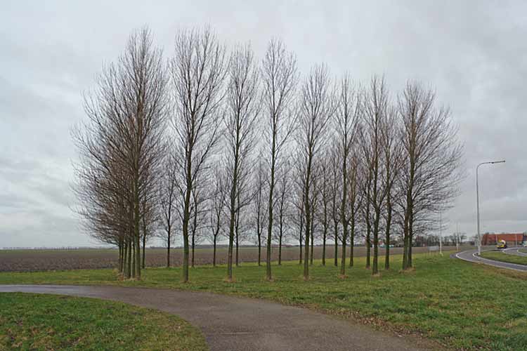 Land art in Holland and environments by Lucien den Arend - his site specific sculptures and environmental sculptures.