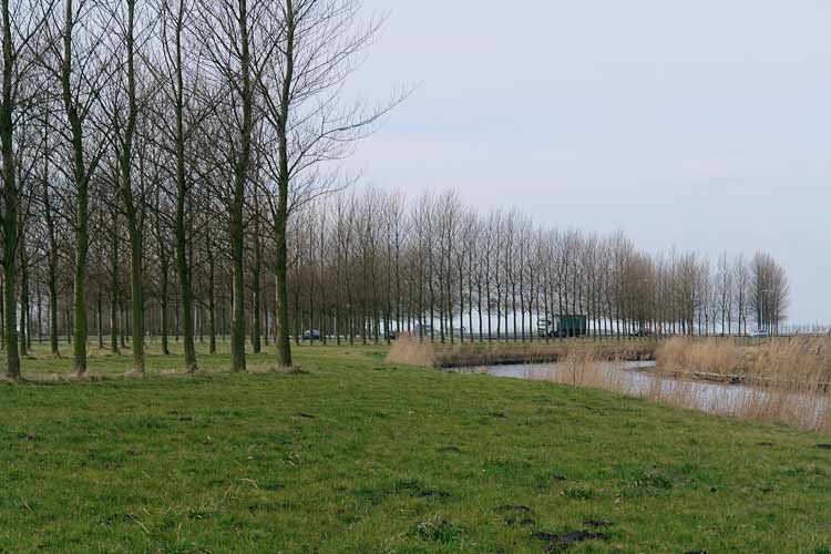 Poplar screens and cube - land art in Dirksland, Holland and environments by Lucien den Arend - his site specific sculptures and environmental sculptures.