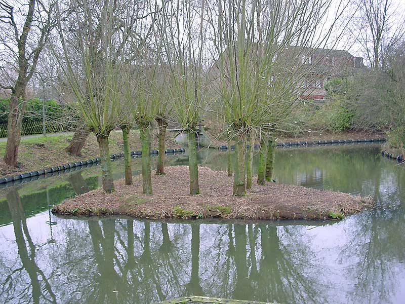 LAND ART - public lecture at zlgevents courtyard - Kuala Lumpur knot-willow square (homage to Malevich), Dubbeldam, Holland