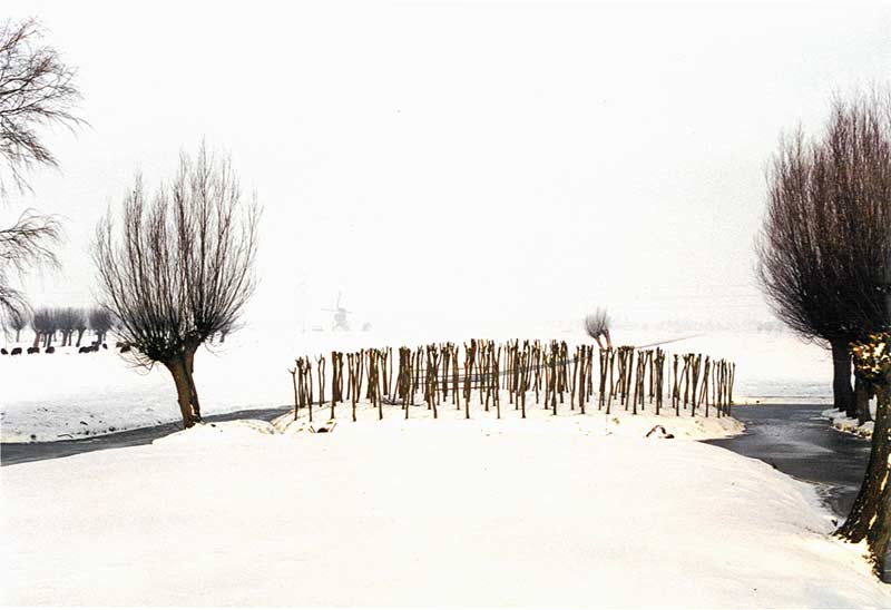 LAND ART - public lecture at zlgevents courtyard - Kuala Lumpur environmental sculpture -  willow maze island in Hardinxveld/Giessendam the Netherlands