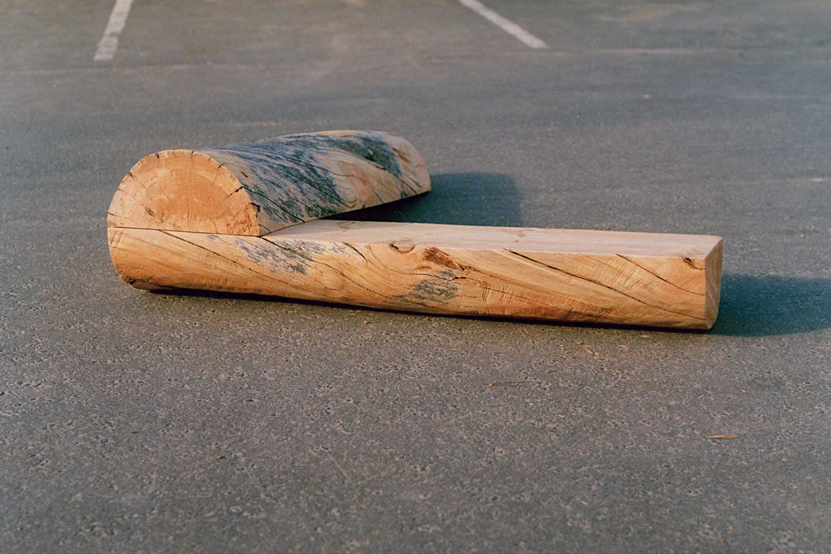 wooden sculpture by Finnish/Dutch sculptor Lucien den Arend - sculptures in kelo wood