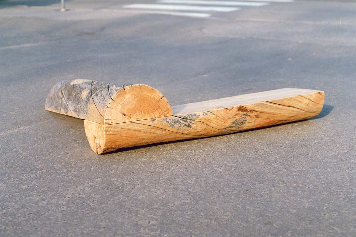 wooden sculpture by Finnish/Dutch sculptor Lucien den Arend - sculptures in kelo wood