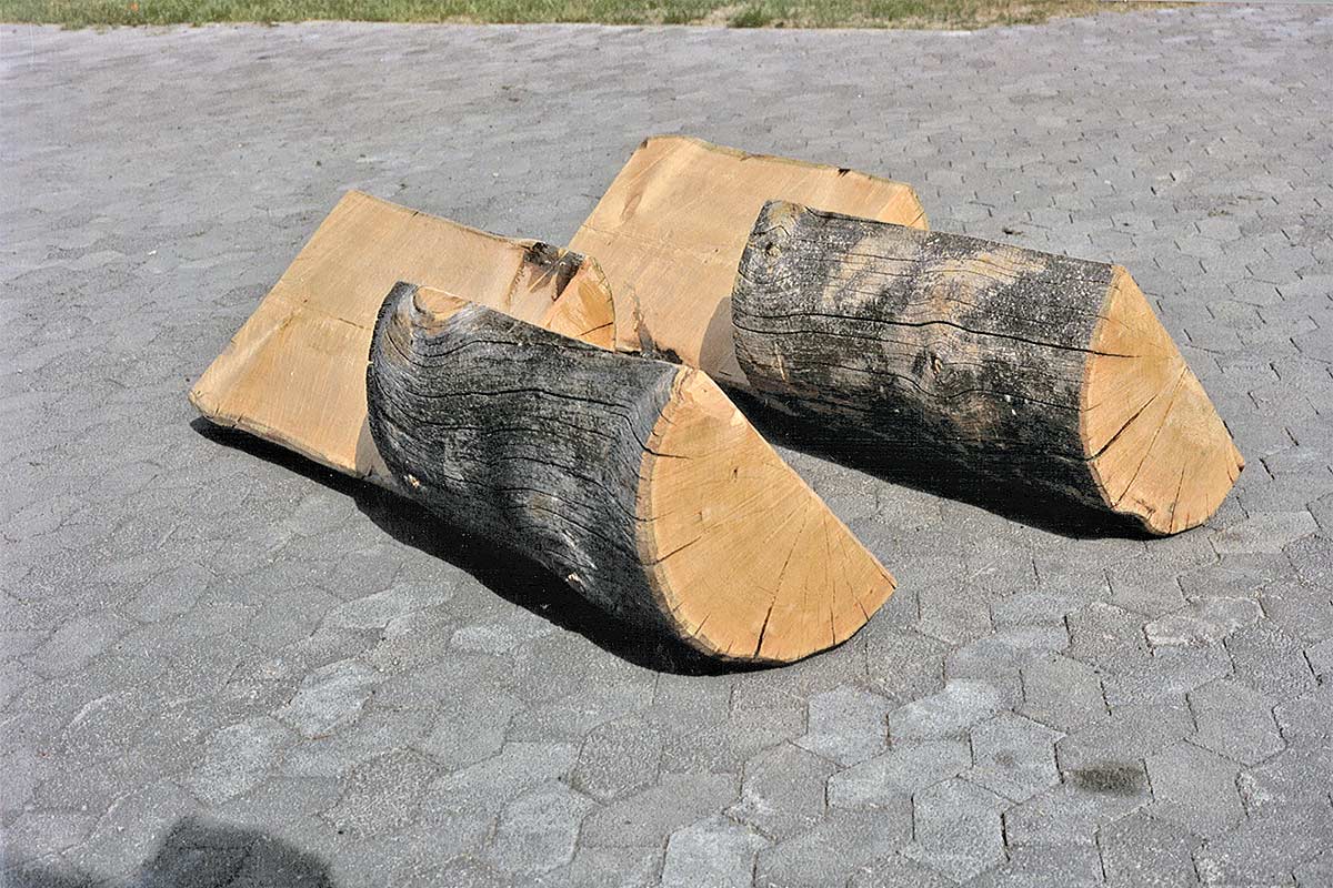 wood (pine) sculpture - "division"