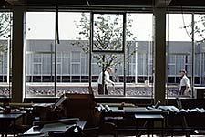 1969 -the construction of one of Holland's first land art projects.