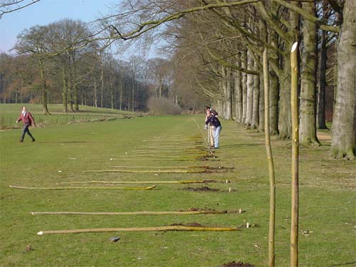 Baarn - trajectory for Rembrandt, three trees (oaks) - gardens of the Groeneveld Castle Netherands and the environmental sculptures of Lucien den Arend - his environmental tree sculpture on the estate of Kasteel Groeneveld in Baarn - site specific art