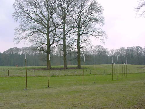 trajectory for Rembrandt - three trees (oaks) - pollarded willow spiral - 1992 willows (Salix Alba) - Hardinxveld | Giessendam NL  - landscapes and sculptures by Lucien den Arend - his Finnish and Dutch sculpture